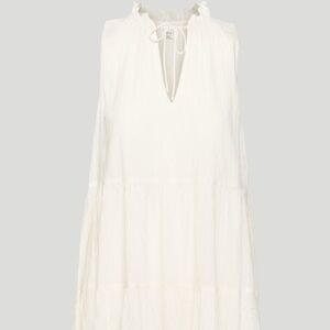 Aritzia Dress